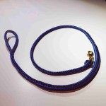 Laisse bleue avec pattes noires