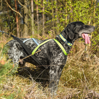 Harnais de traction Trop Backbone 2.0|   Basicdog.ch - spécialiste matériel canicross