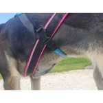 Booties Cordura 300 blau