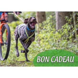 Bon cadeau
