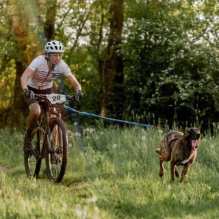 Barre de CaniVTT Bikejor Max UL INLANDSIS