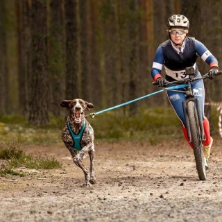 Bike Antenne Bikejor Max UL INLANDSIS