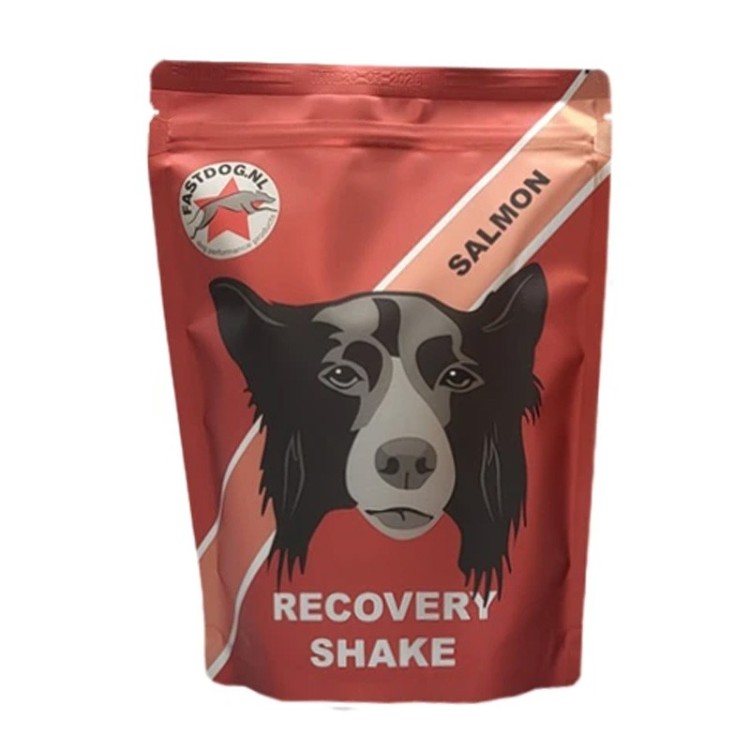 Fastdog Recovery Shake : un regain d'énergie après l'entraînement