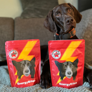 Fastdog Energy Bites 240g - Energie für Sporthunde