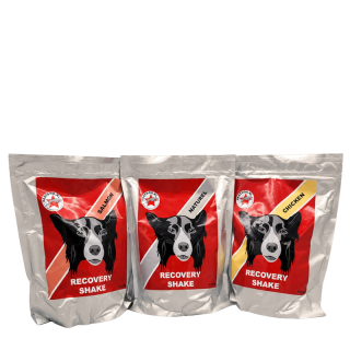 Fastdog Recovery Shake - Récupération après l'entraînement et la course