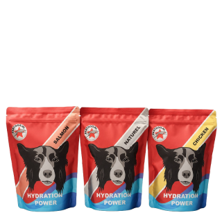 Fastdog Hydration Power 500g - Flüssigkeitszufuhr & Energie