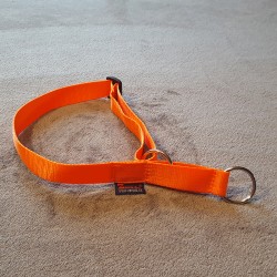 Halsband orange Zugstop ZERO DC