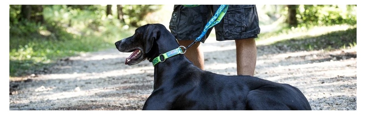 Colliers & Laisses de promenade