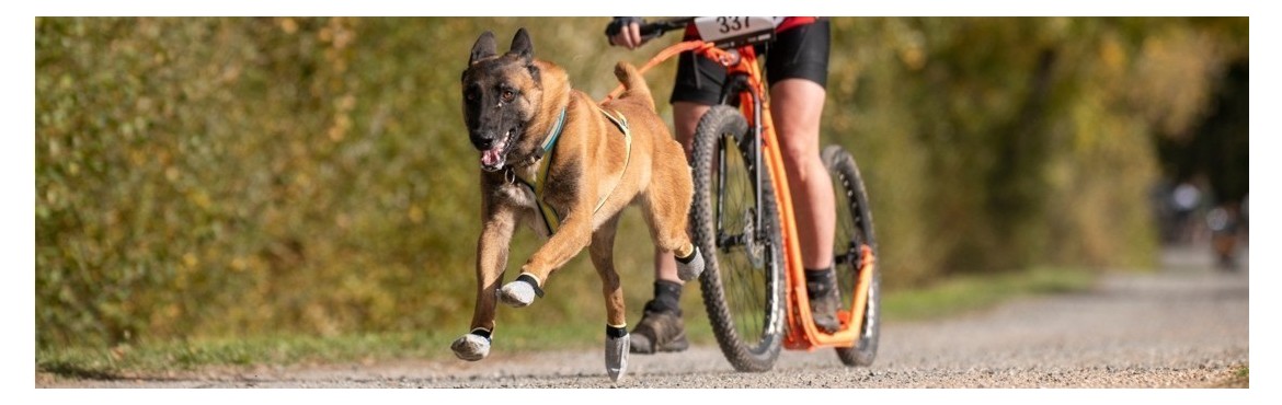 Booties pour Canicross | Basicdog.ch - spécialiste matériel canicross